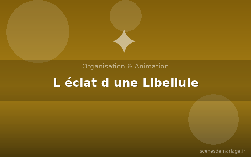 L éclat d une Libellule