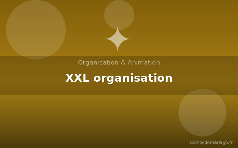 XXL organisation